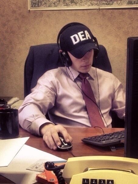 ���� 10503819 ������� ������, 34 ����, ���� ���������� � �����-����������