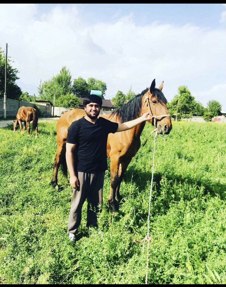 ���������� ���������, ���� ������� Hikmat, 30 ���, ������������ ��� ������, ����� � ���������