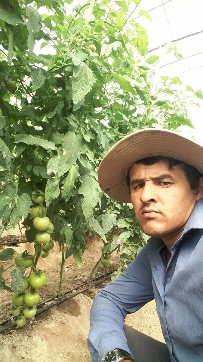 ���������� �������, ���� ������� ��������, 37 ���, ������������ ��� ������, ����� � ���������, c�������� ���������, ���������