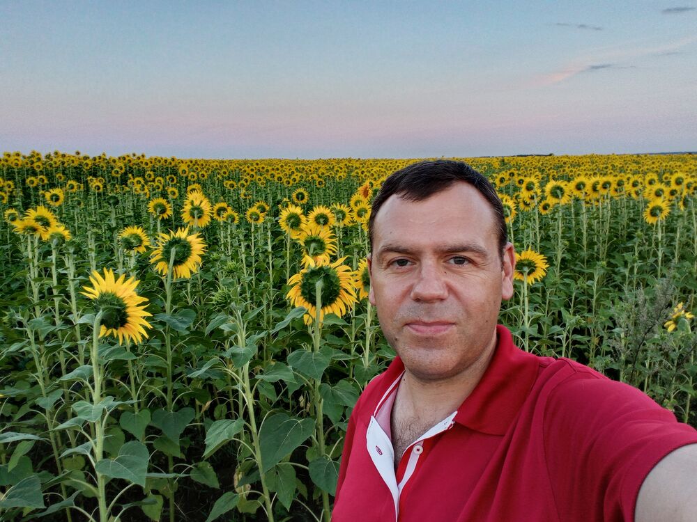  29344099  , 43 ,    -