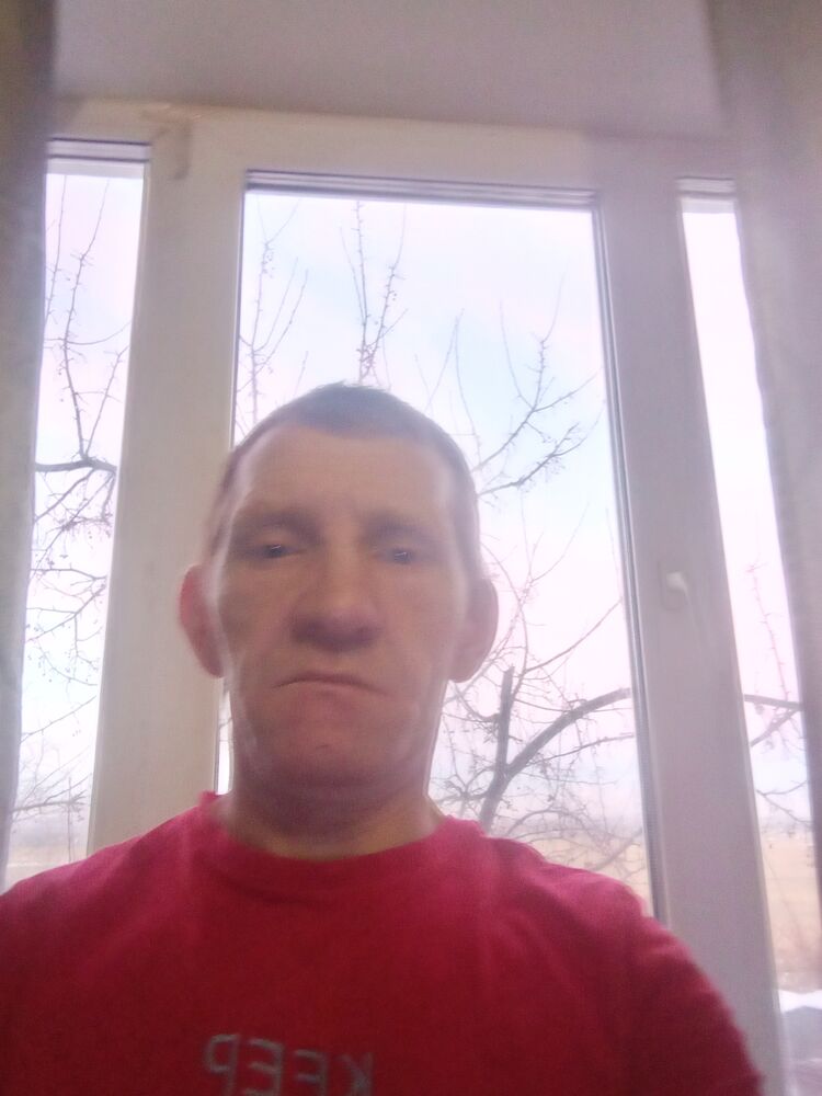 ���� 40093199 ������� �������, 44 ����, ���� ���������� � �����