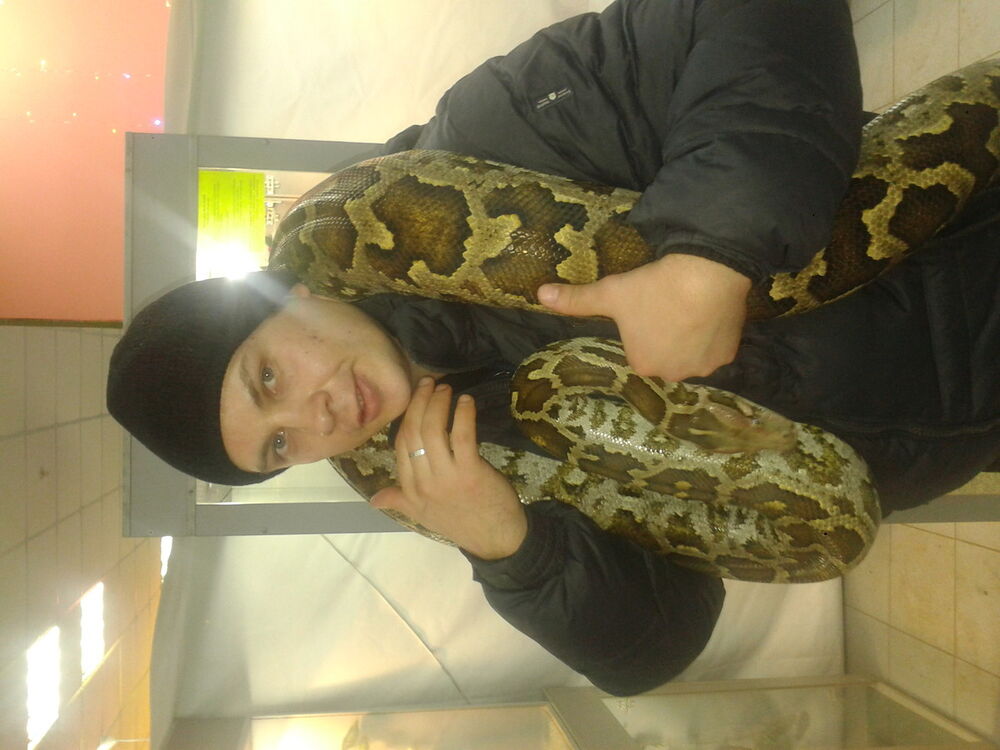 ���������� �������, ���� ������� �������, 46 ���, ������������ ��� ������