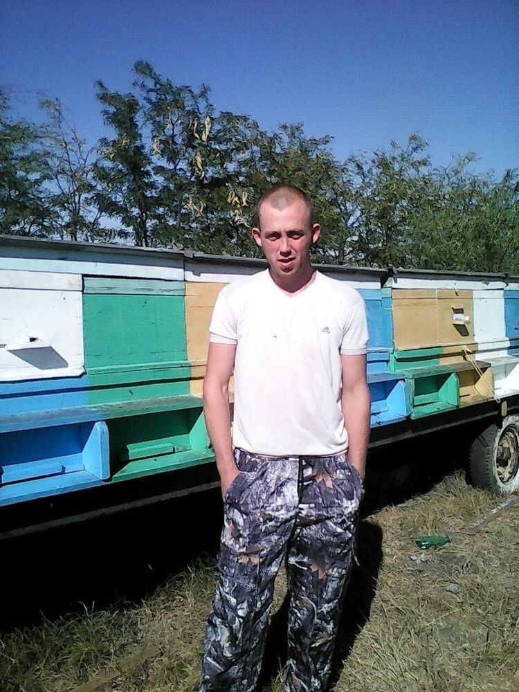 ���� 8536559 ������� ����, 34 ����, ���� ���������� � �����������