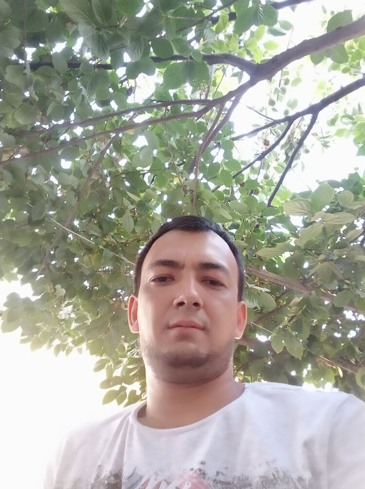 ���� 17276309 ������� Davron, 41 ���, ���� ���������� � ��������