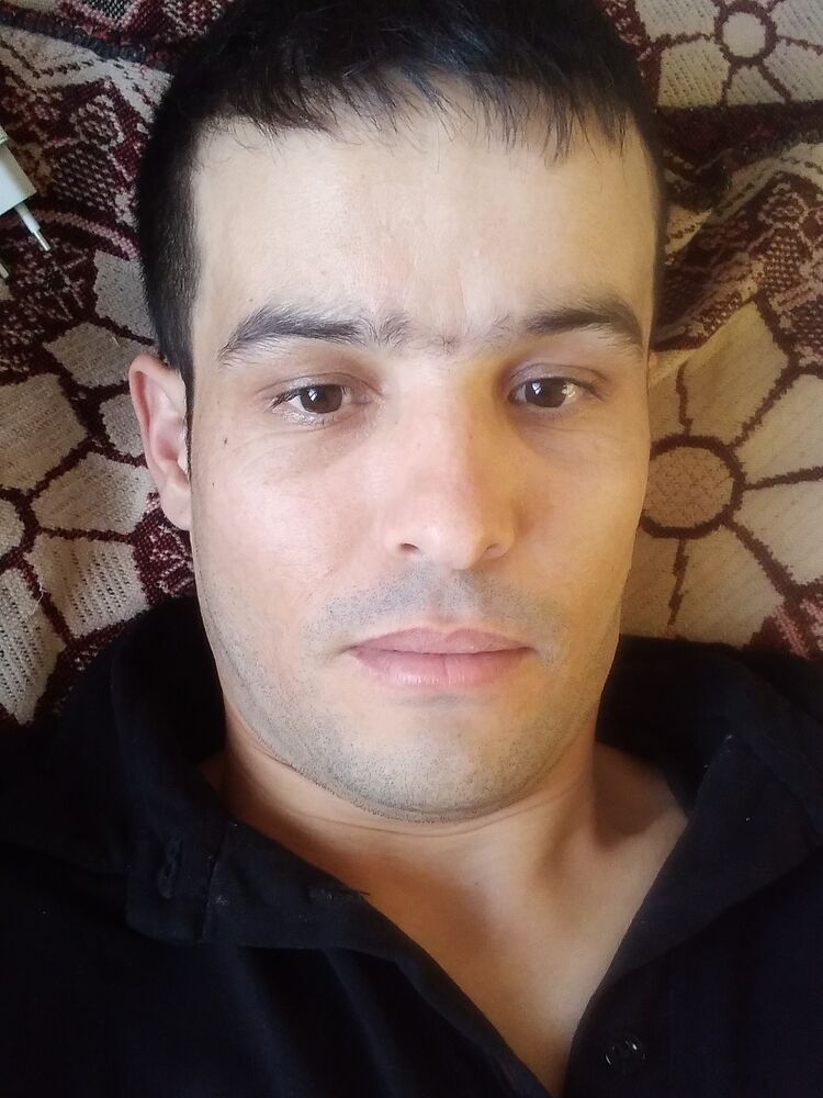  33558839  , 33 ,    