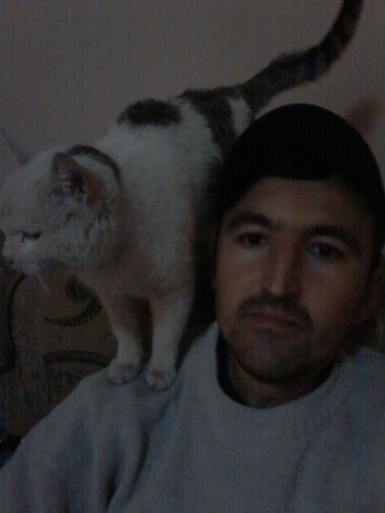 ���� 18698179 ������� �����, 38 ���, ���� ���������� � ����������