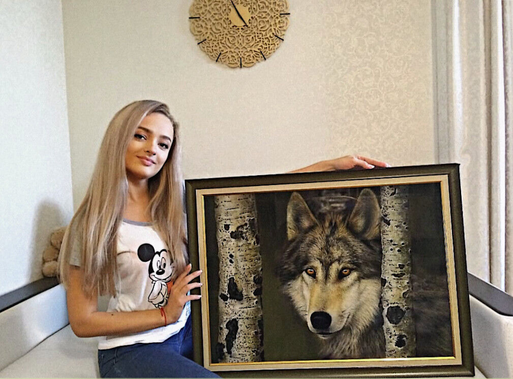 ���� 54430329 ������� ������, 31 ���, ���� ���������� � �������-��-����