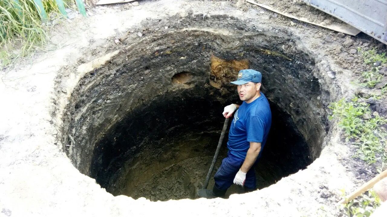  31260329  , 43 ,    