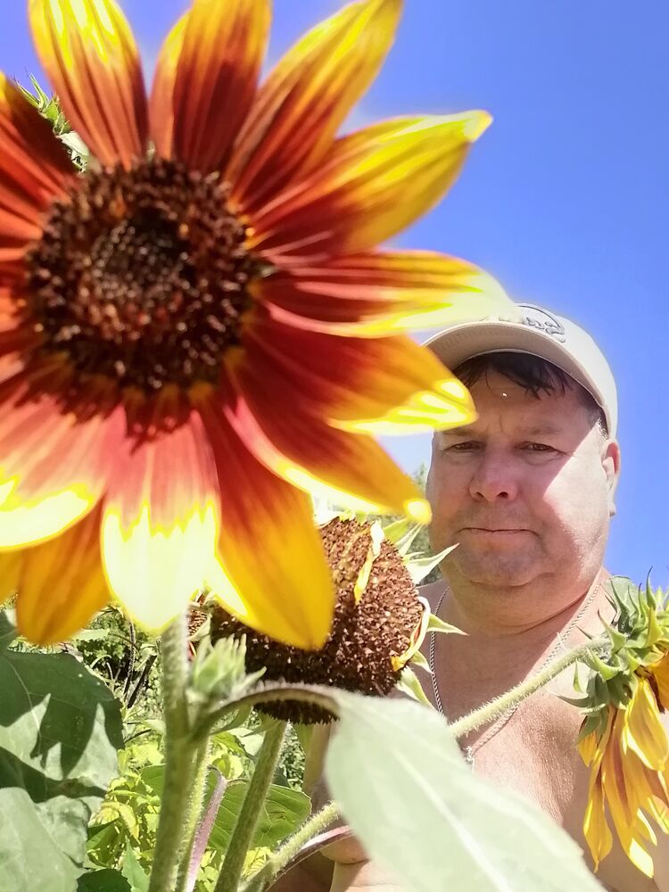  ,   , 55 ,   ,   