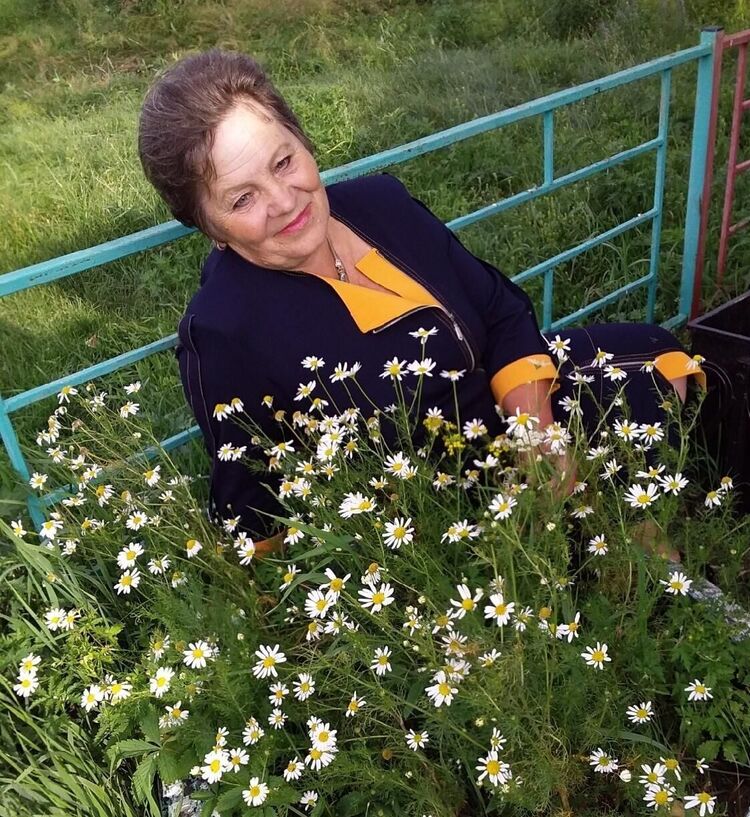 ���������� ����������, ���� ������� �������, 66 ���, ������������ ��� ������, ����� � ���������, ���������