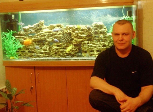  ,   , 54 ,   