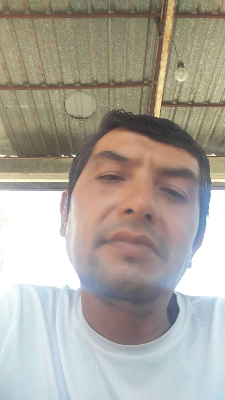  29321729  , 48 ,    