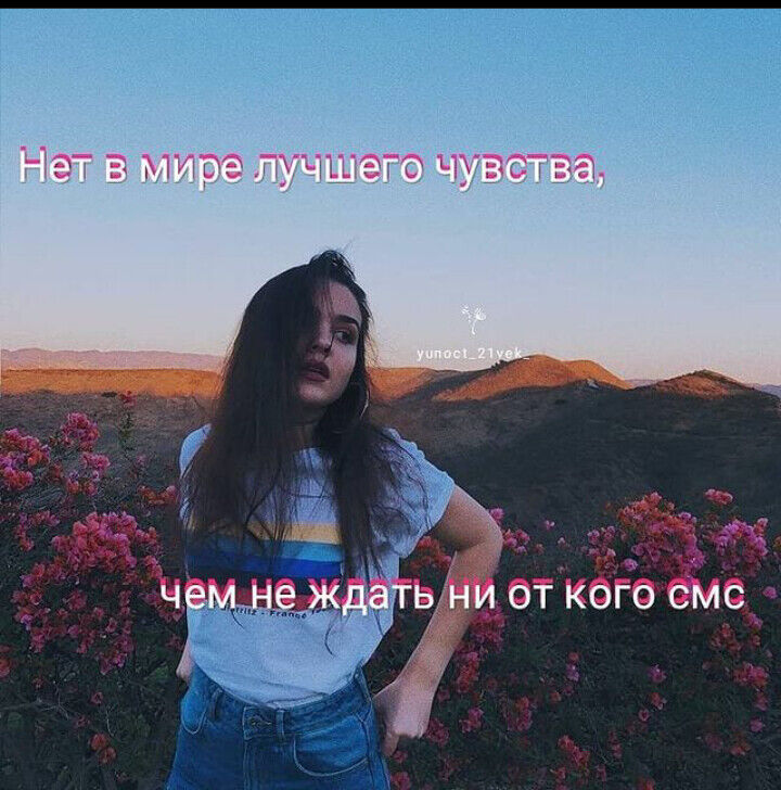  21781829  , 24 ,    