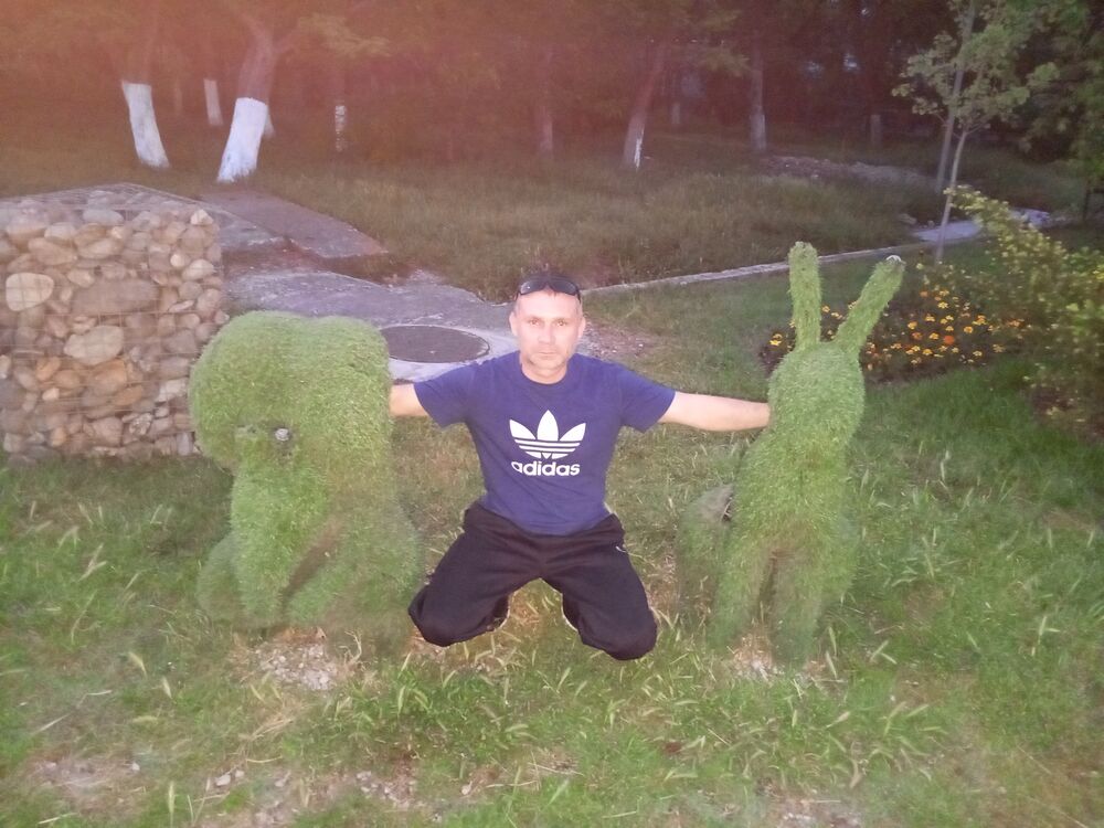 ���� 44144279 ������� ������, 38 ���, ���� ���������� � �����������