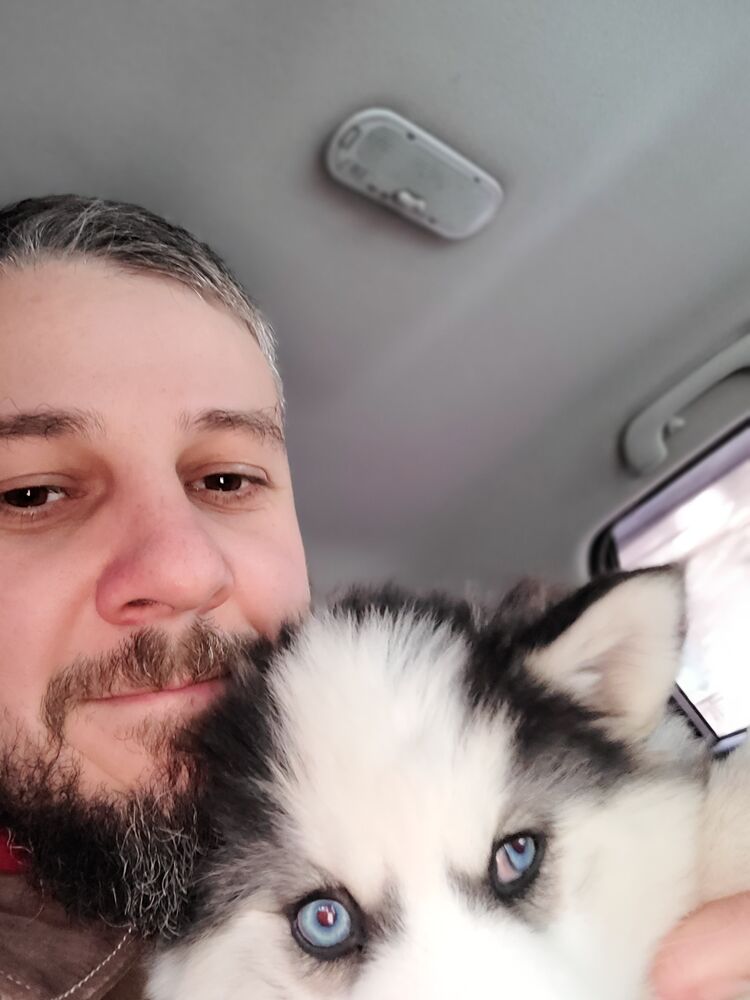 ���������� �������, ���� ������� Max, 38 ���, ������������ ��� ����� � ���������, c�������� ���������