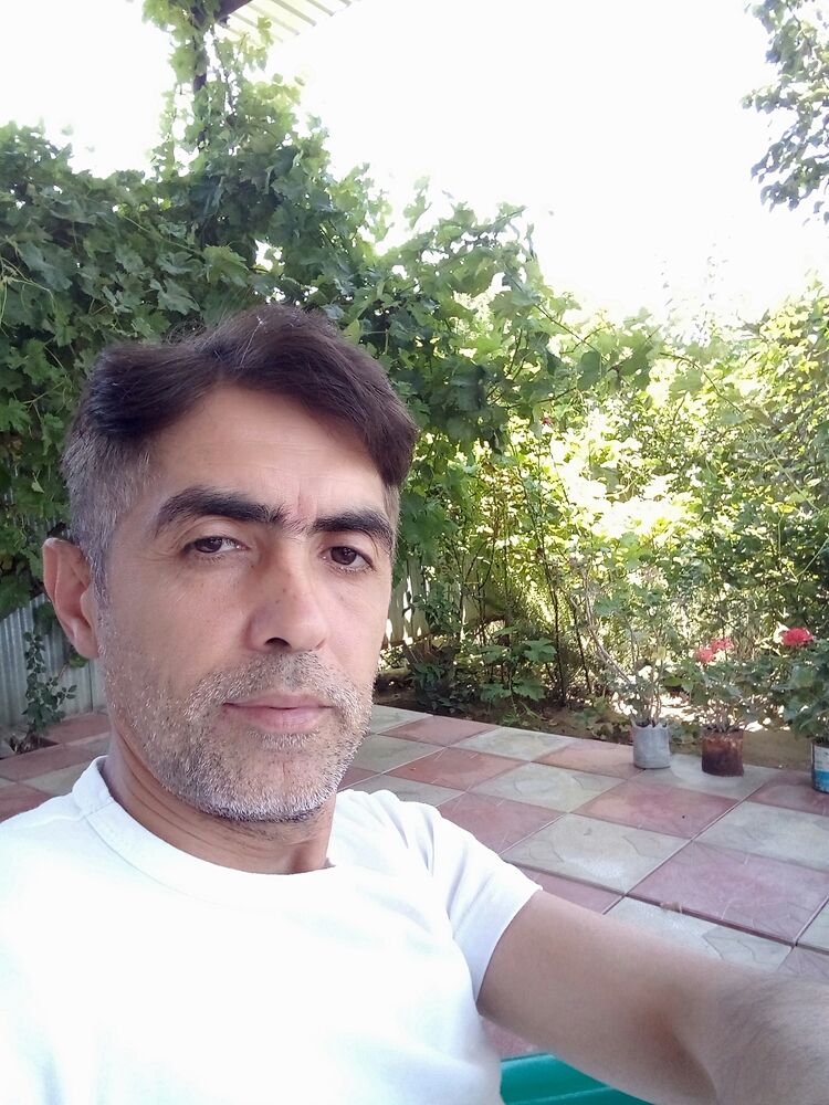  52079439  , 40 ,    