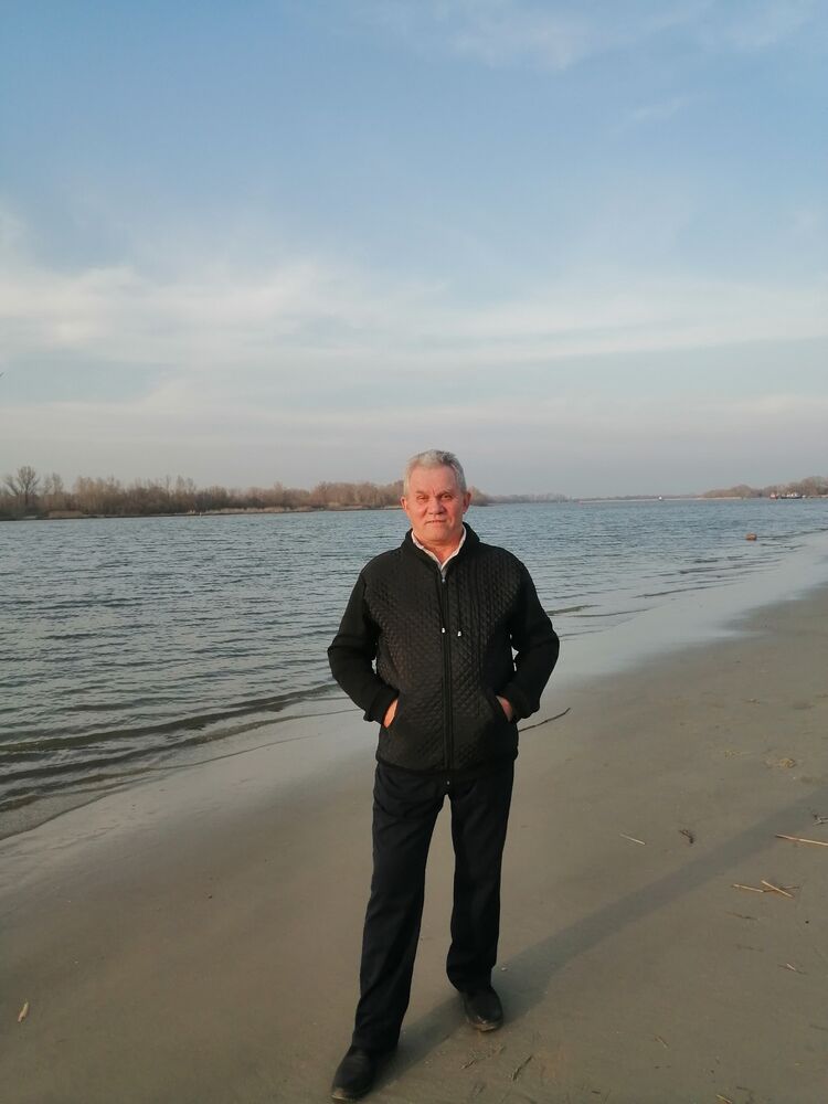  50731939  , 62 ,    --