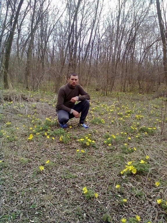 ���������� �����-���������, ���� ������� ������, 38 ���, ������������ ��� ������, ����� � ���������, c�������� ���������