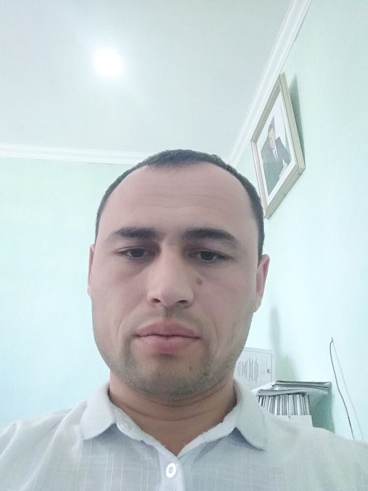  19551679  , 38 ,    