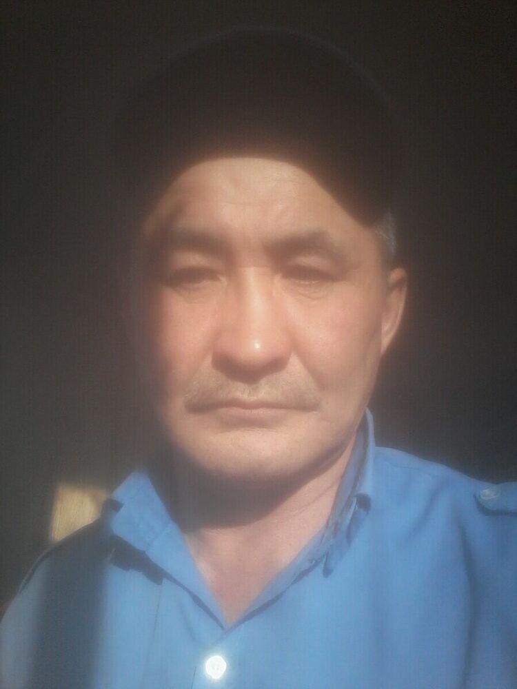  20737179  , 56 ,    
