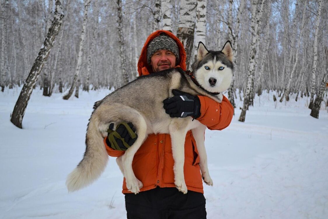 ���� 35218689 ������� ����, 37 ���, ���� ���������� � �����