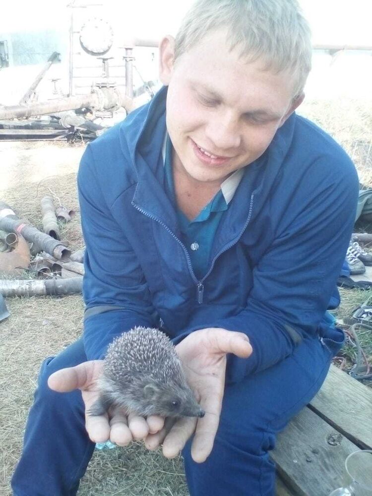 ���� 17585209 ������� �������, 34 ����, ���� ���������� � ��������