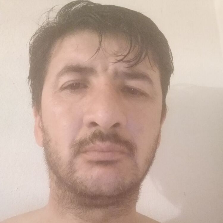  19603659  , 46 ,    