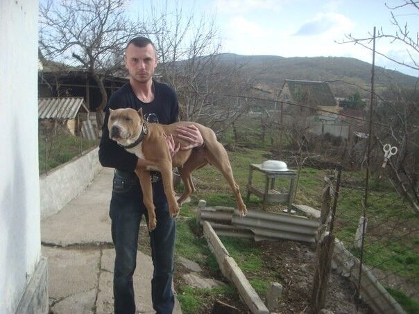 ���� 6891569 ������� ����, 39 ���, ���� ���������� � �����������