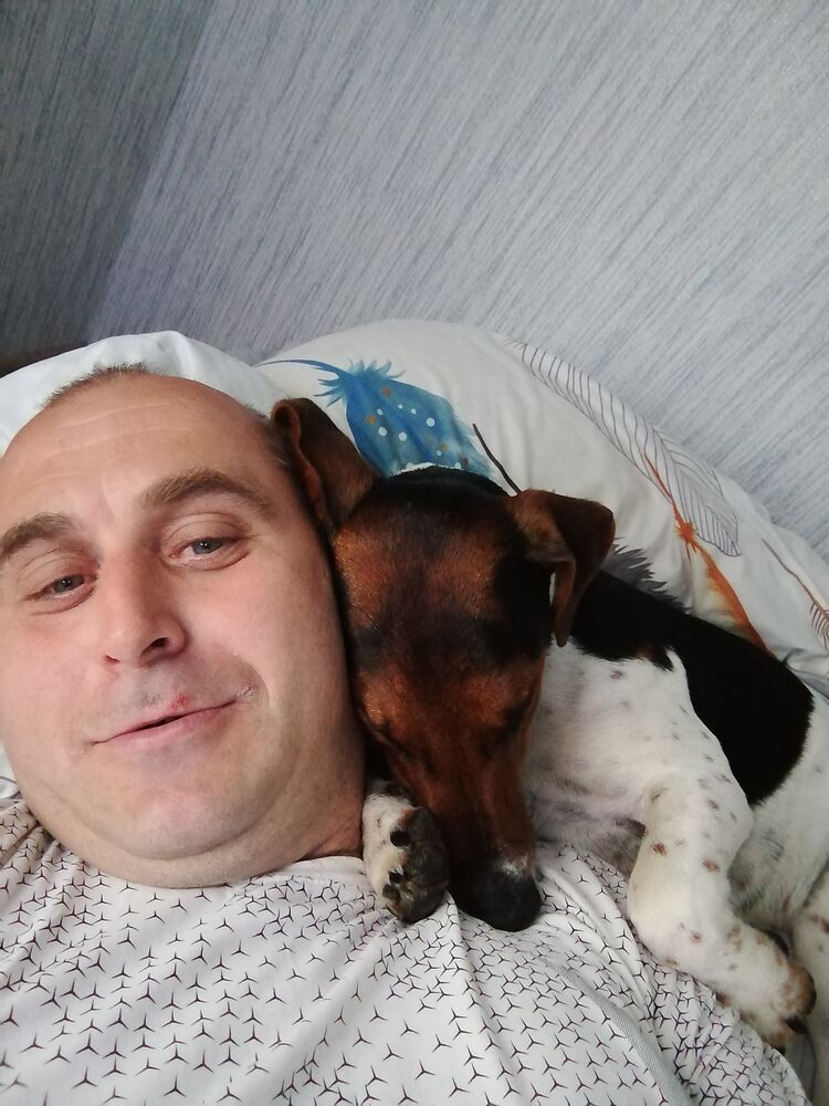 ���� 52873099 ������� �������, 44 ����, ���� ���������� � ���������