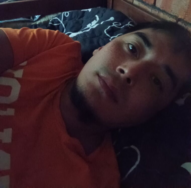 ���� 55357419 ������� �������, 33 ����, ���� ���������� � �������