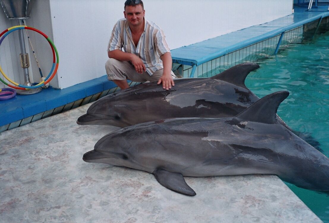 ���� 20364519 ������� ������, 44 ����, ���� ���������� � ������