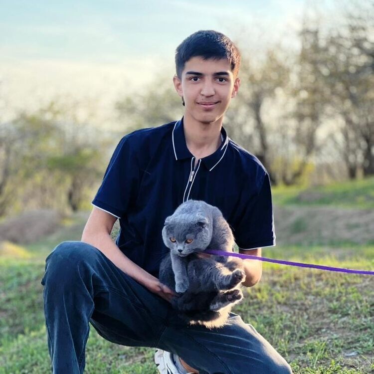 ���� 33859049 ����� �����, 21 ���, ���� ���������� � �������