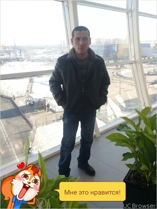 ���� 9055449 ������� �����, 52 ����, ���� ���������� � ������