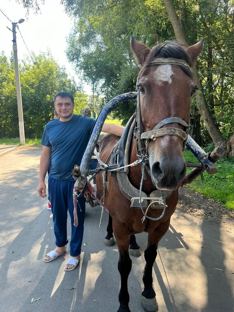 ���������� �������, ���� ������� �������, 38 ���, ������������ ��� ������, ����� � ���������, c�������� ���������