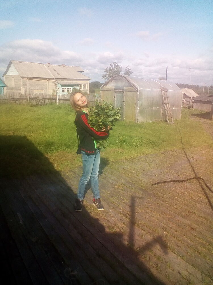  ,   , 24 ,  