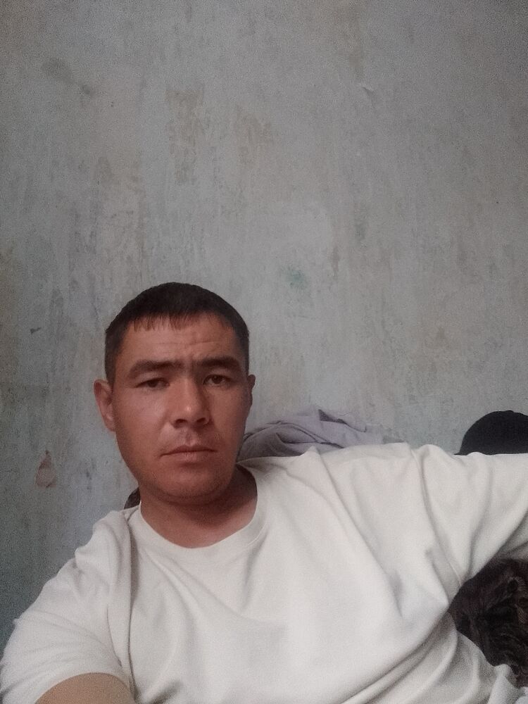  28073979  , 40 ,    