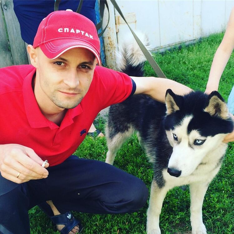 ���� 23436399 ������� ������, 51 ���, ���� ���������� � �����