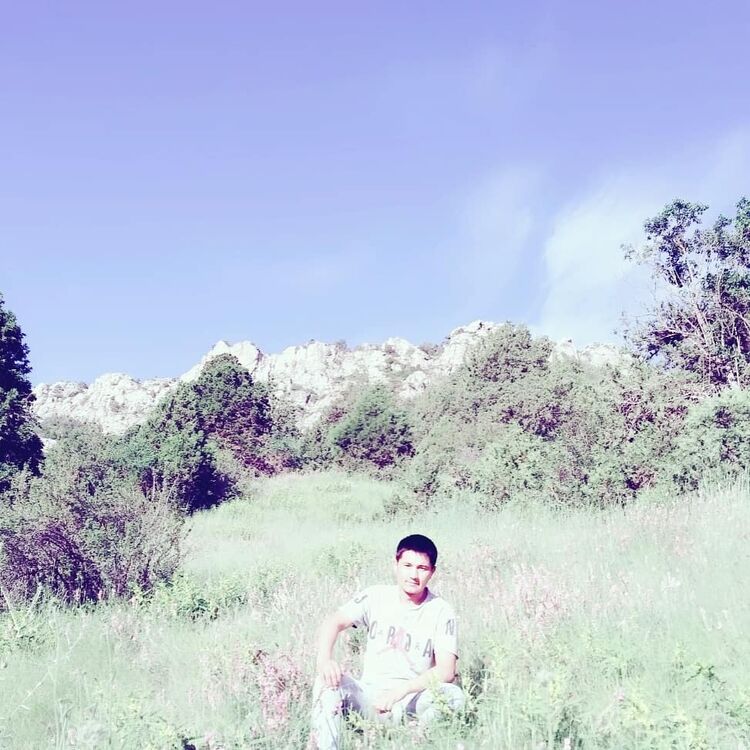  ,   Aziz, 31 ,   ,   , c 