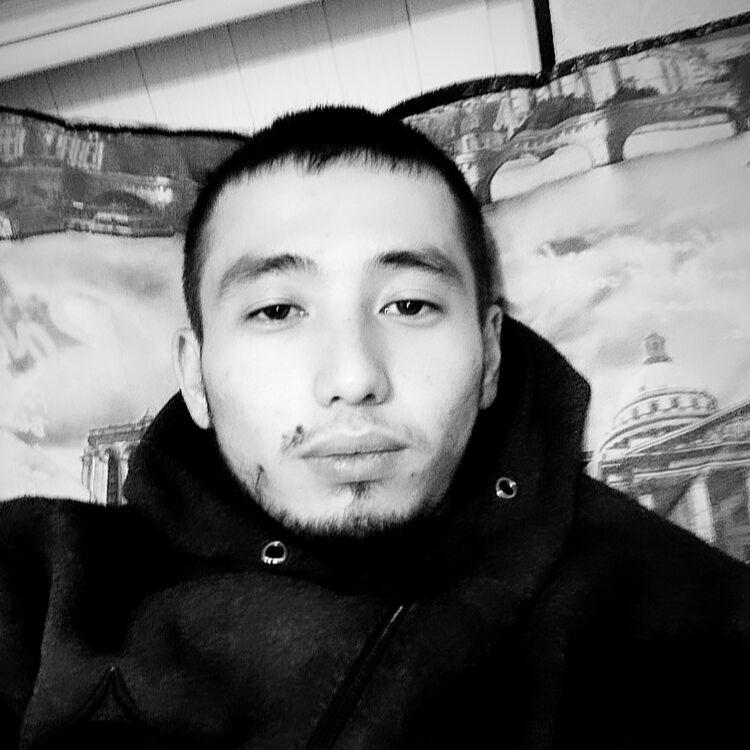 ���� 51205499 ������� ������, 27 ���, ���� ���������� � ���������