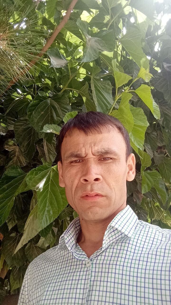 ���� 40405069 ������� Abror, 39 ���, ���� ���������� � �����-����������