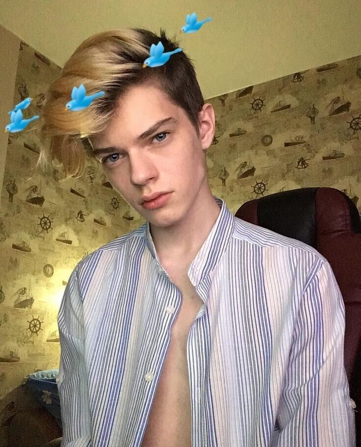  21103269  , 23 ,    