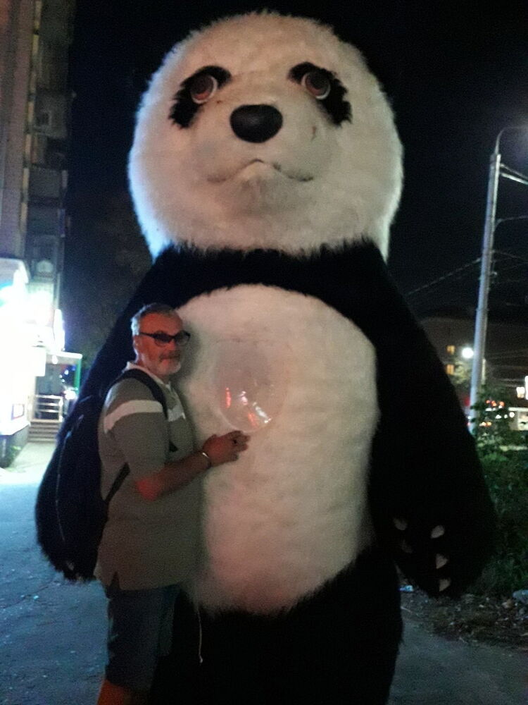  17505349  , 54 ,     