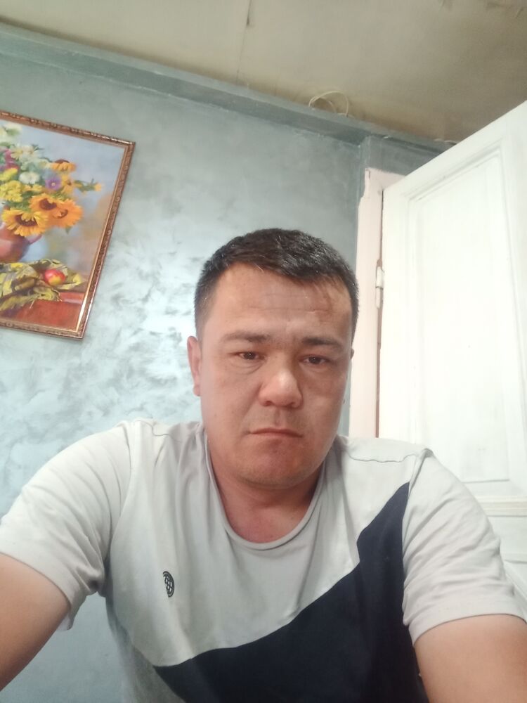  51794729  , 41 ,    