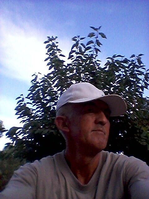 ���� 16664289 ������� ����, 51 ���, ���� ���������� � ������