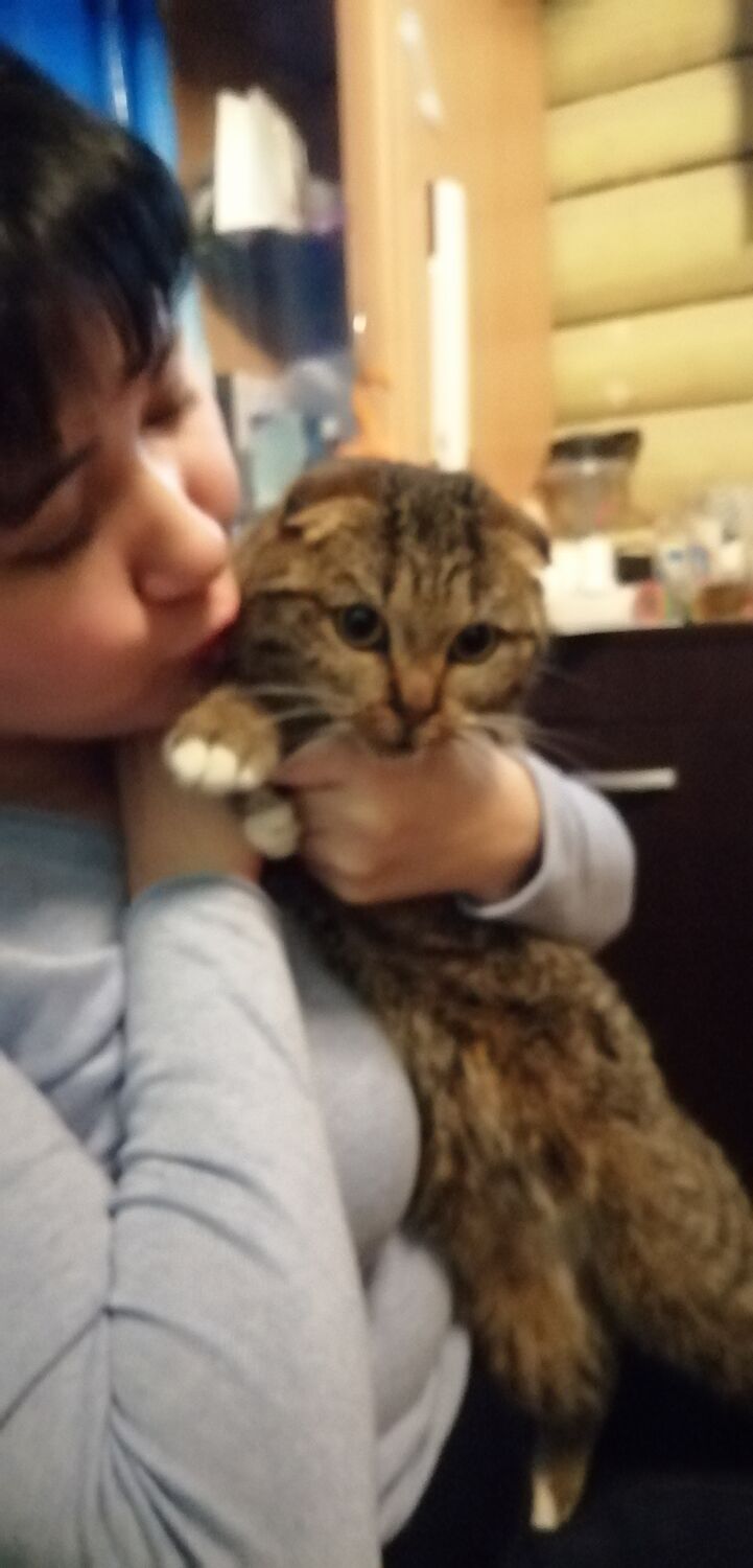 ���� 32182619 ������� ����, 44 ����, ���� ���������� � ������