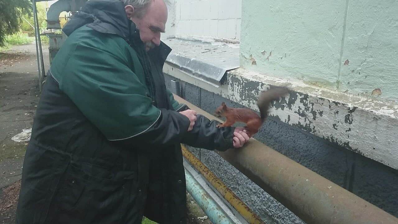  28499169  Domovoij, 44 ,    