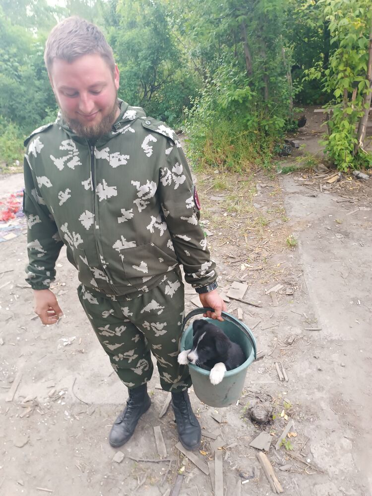 ���� 36745689 ������� ����, 40 ���, ���� ���������� � �������