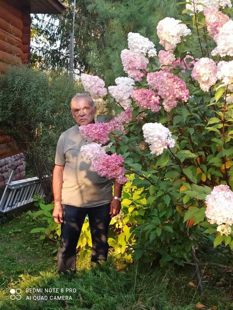  ,   , 61 ,   ,   