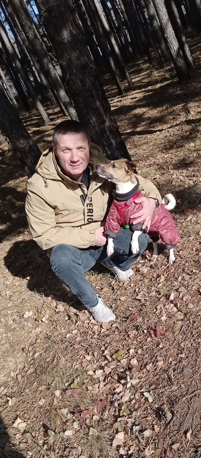 ���������� ���������, ���� ������� ������, 48 ���, ������������ ��� ������, ����� � ���������, c�������� ���������