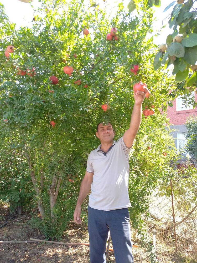 ���� 30598739 ������� �����, 45 ���, ���� ���������� � ���������